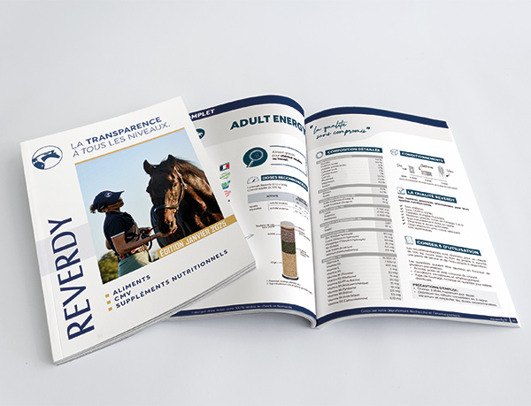 Brochure Reverdy
