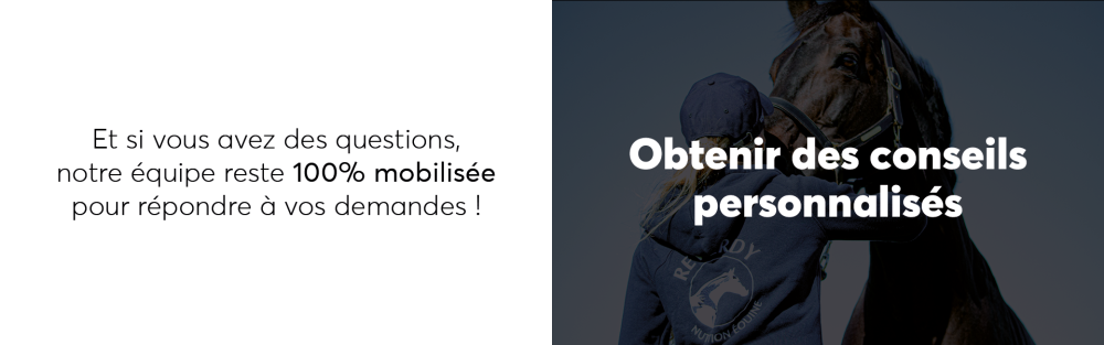 “Formulaire