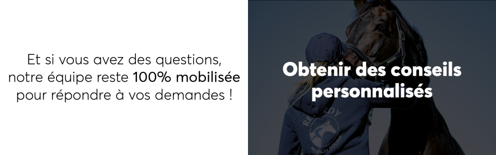 “Formulaire