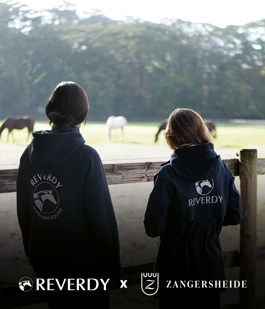 Reverdy x Zangersheide