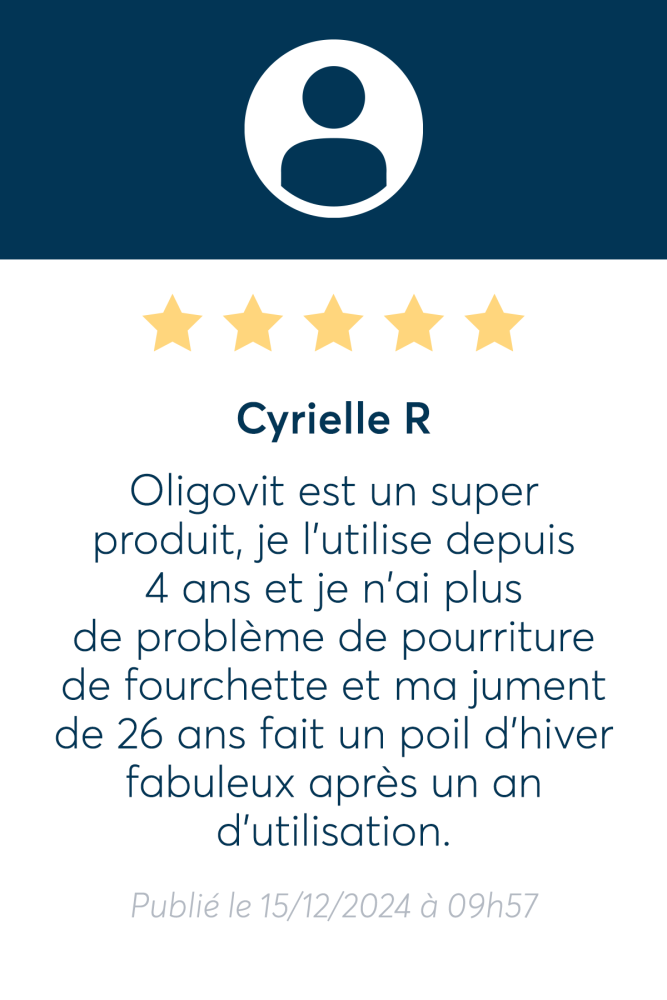 Avis client 6