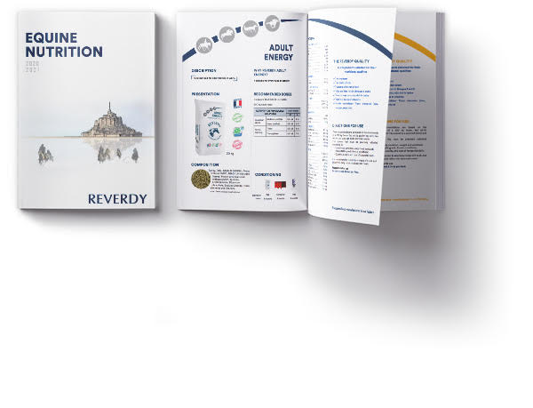 Brochure Reverdy