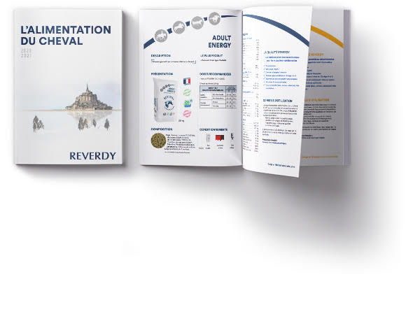 Brochure Reverdy