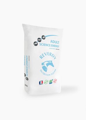 Adult Science Energy