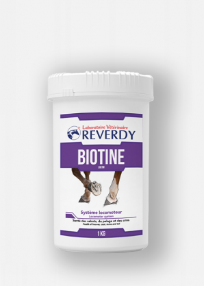 Reverdy Biotine 1kg