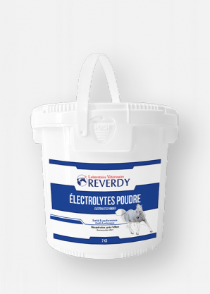 Reverdy Electrolytes Poudre 7kg