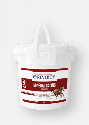 Reverdy Racing Mineral horse