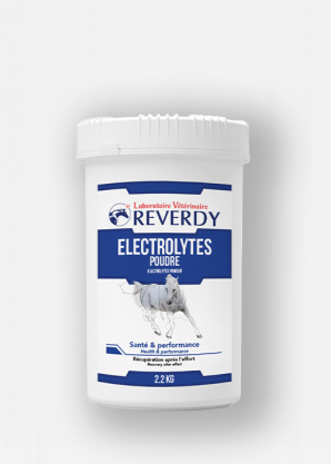 Reverdy Electrolytes Poudre 2,2kg