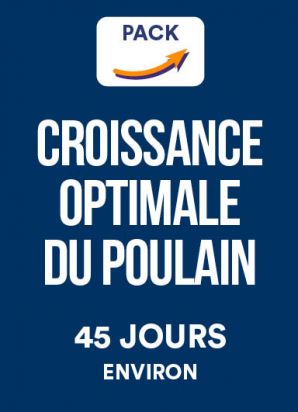 Reverdy Pack Croissance Optimale du Poulain - Suppléments Nutritionnels pour Poulains
