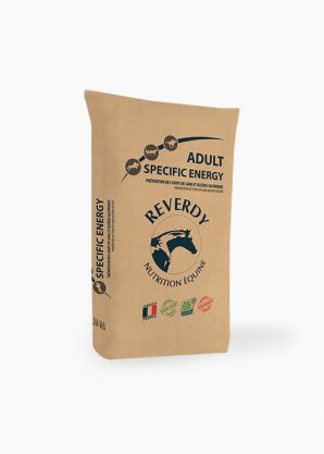 Reverdy Adult Specific Energy
