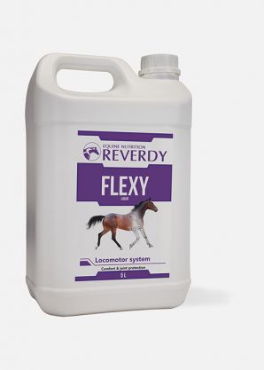 Reverdy Flexy Liquid 5L