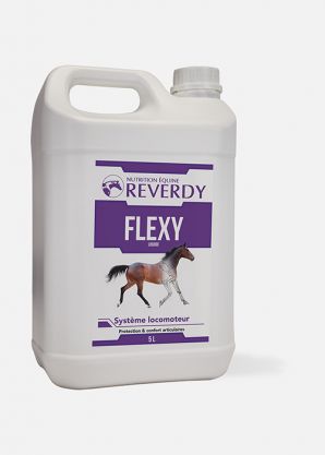 Reverdy Flexy Liquide 5L