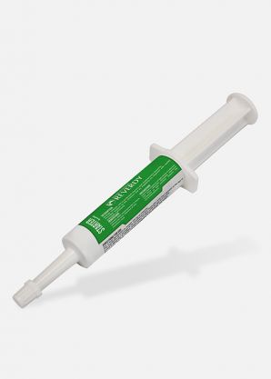 Reverdy Starter x6 - EN