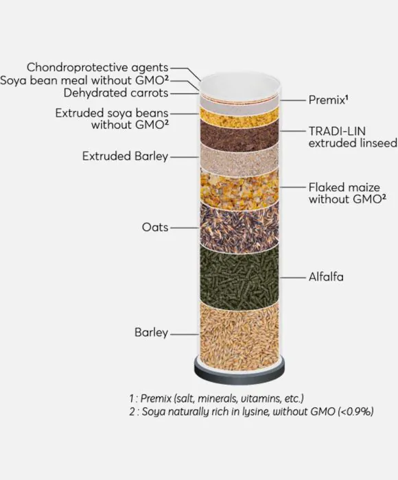 Ichki kiyimsiz yubkalardagi ayollarning fotosuratlari