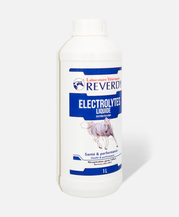 lectrolytes Liquide 1L - Rhydratant pour Cheval - Reverdy