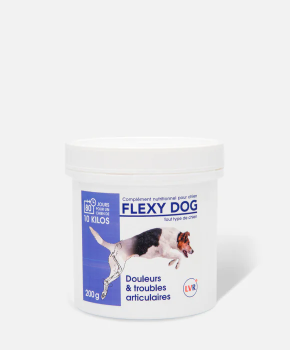 洋楽 F DOG/DOUBLE AGENT Flexy Dog for dogs 200g - Reverdy