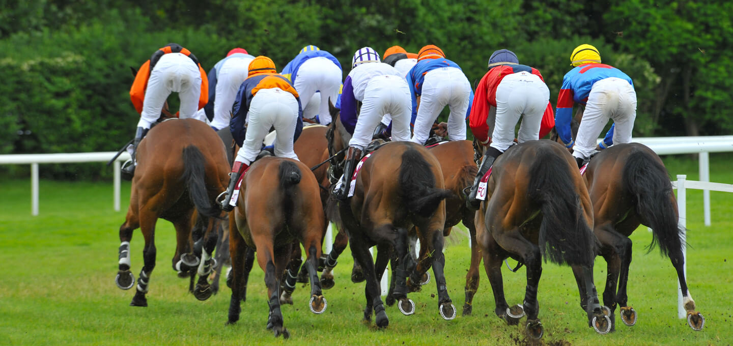 Les ulcères gastriques chez le cheval athlète