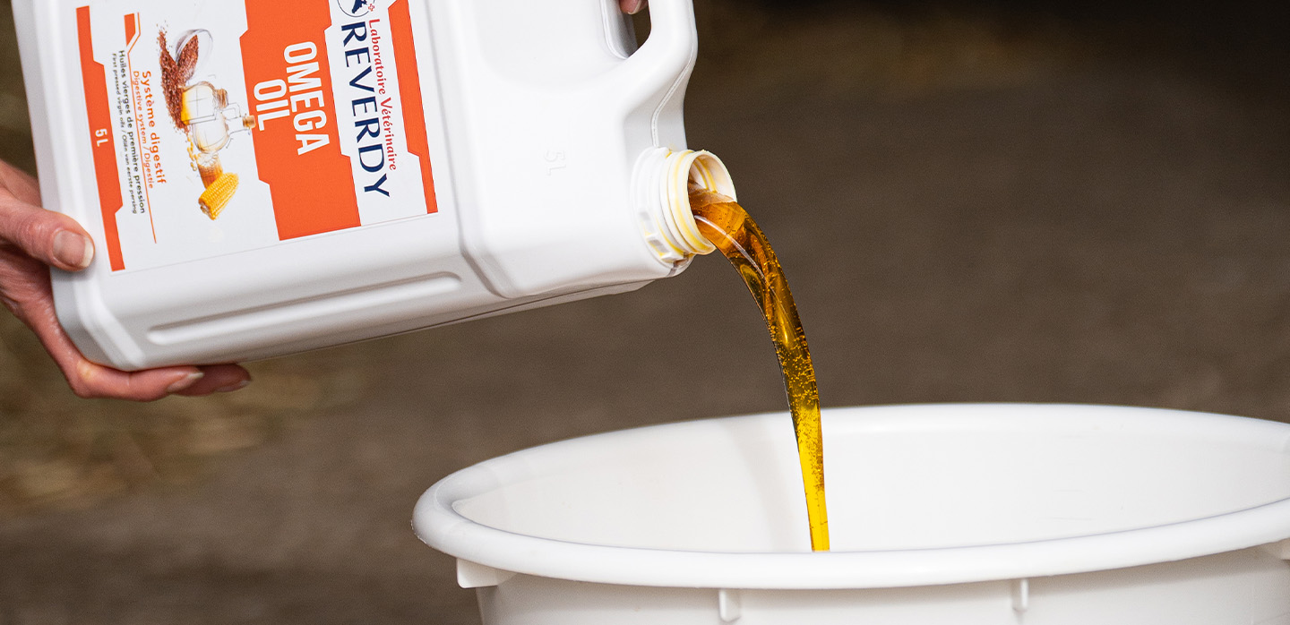 Huiles et Omégas dans l'alimentation du cheval