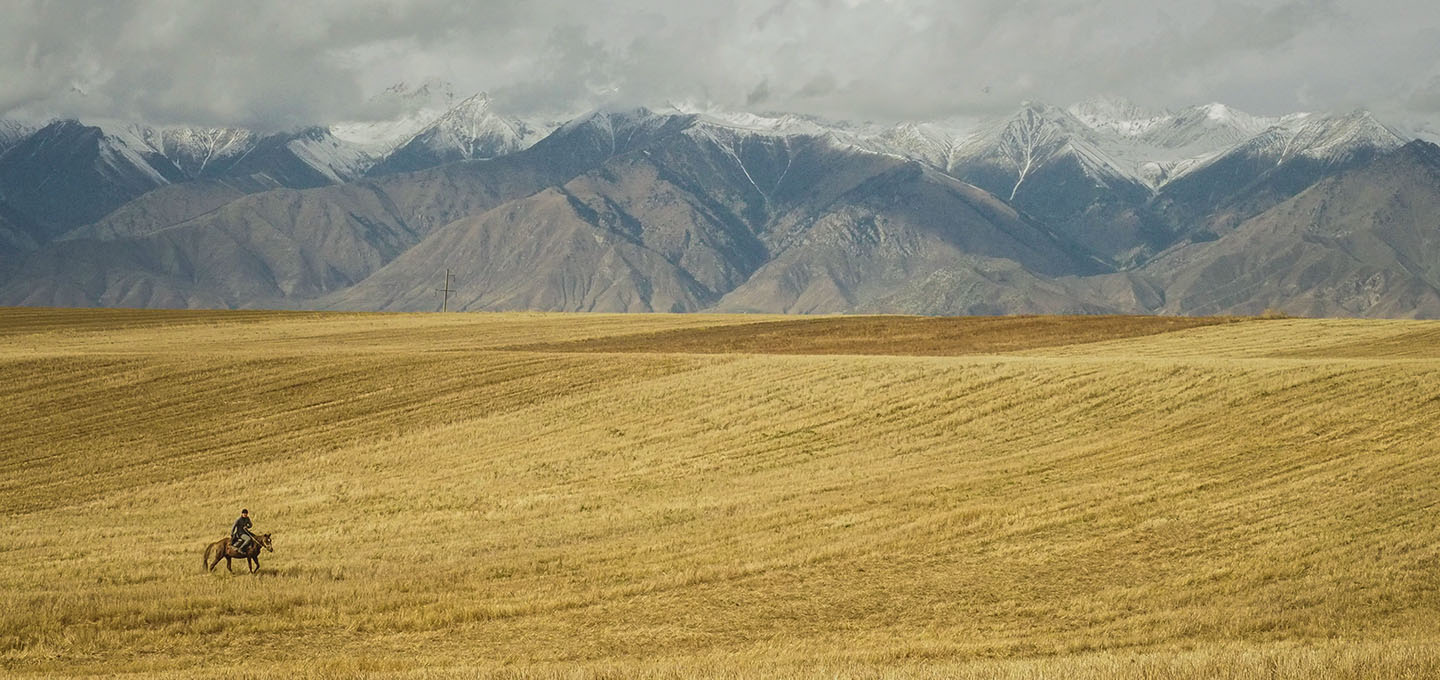 Résultats de recherche pour : 'Oligovit'