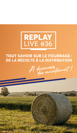 Reverdy