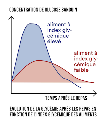 Glycemie cheval après repas