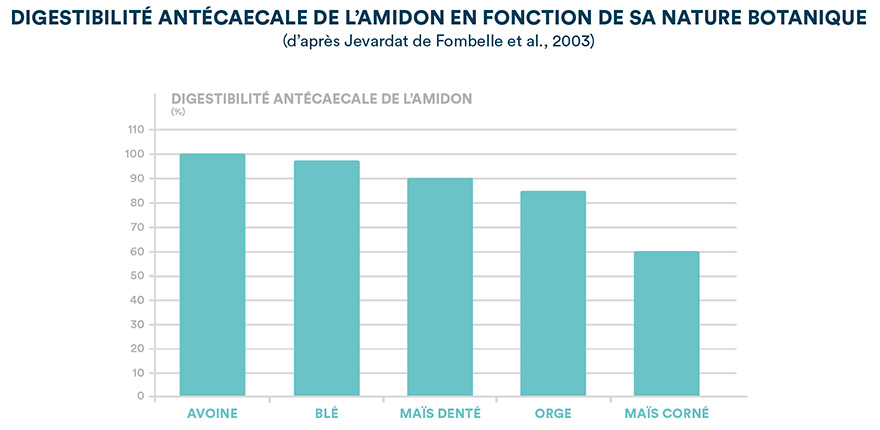 Digestibilité antécaecale de l'amidon en fonction de sa nature botanique