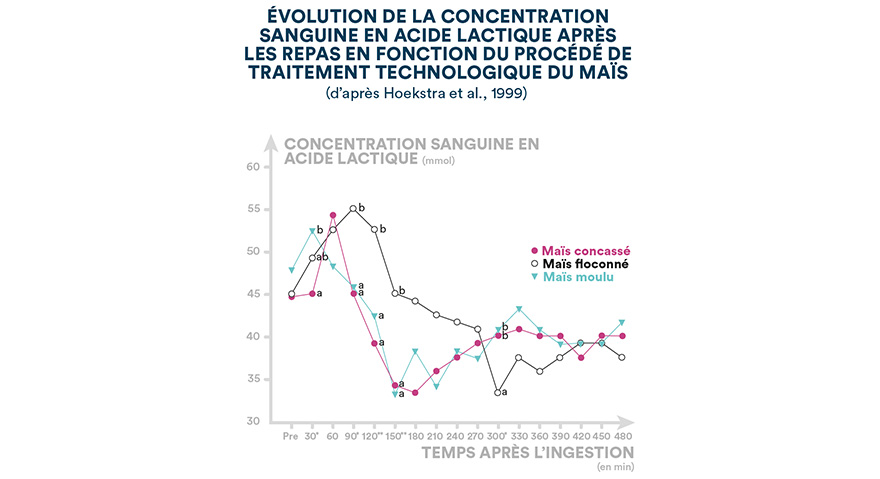 Évolution de la concentration sanguine en acide lactique après les repas en fonction du procédé de traitement technologique du maïs