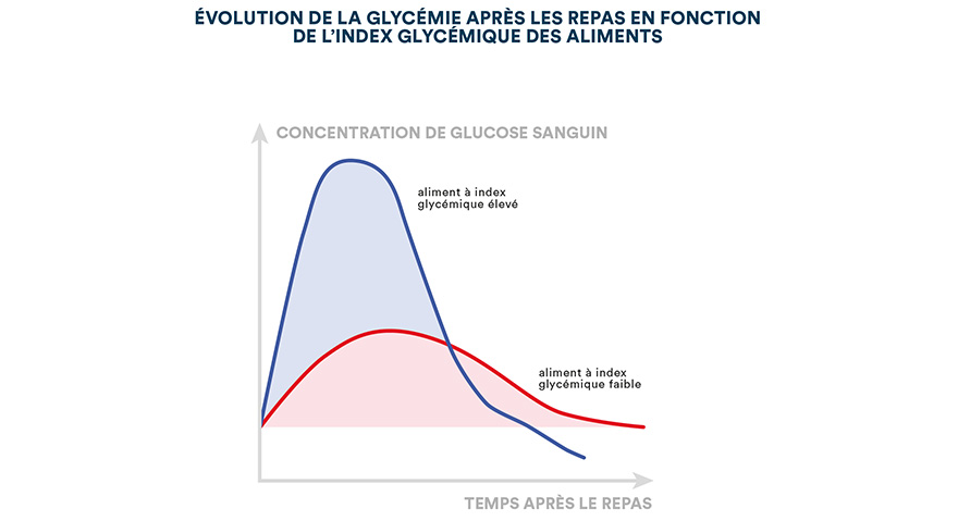 Évolution de la glycémie après les repas en fonction de l'index glycémique des aliments