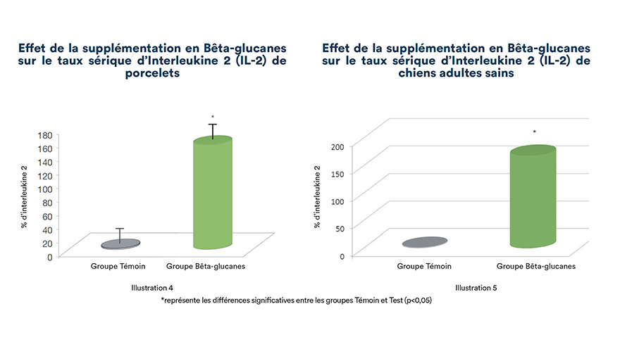 Effet de la supplémentation en bêta-glucanes sur le taux sérique d'Interleukine-2 (IL-2) de porcelets et de chiens adultes sains.