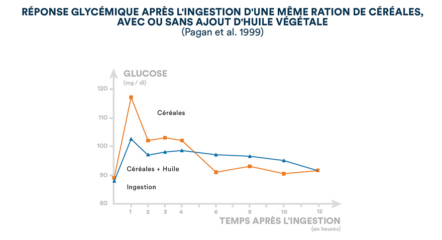 Réponse glycémique après l'ingestion d'une même ration de céréales, avec ou sans ajoute d'huile végétale