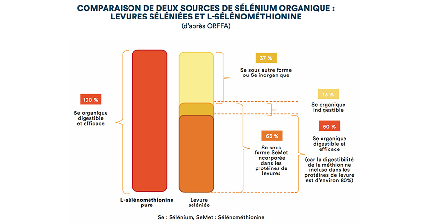 Comparaison de deux sources de sélénium organique : levures séléniées et L-sélénométhionine