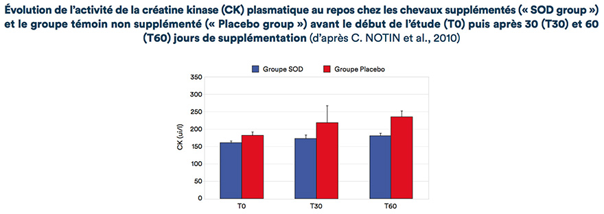 Évolution de l'activité de la créatine kinase (CK) plasmatique au repos chez les chevaux supplémentés (« SOD group ») et le groupe témoin non supplémenté (« Placebo group ») avant le début de l'étude (TO) puis après 30 (T30) et 60 (T60) jours de supplémentation