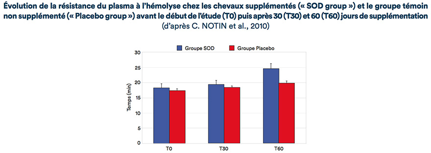 Évolution de la résistance du plasma à l’hémolyse chez les chevaux supplémentés (« SOD group ») et le groupe témoin non supplémenté (« Placebo group ») avant le début de l’étude (T0) puis après 30 (T30) et 60 (T60) jours de supplémentation