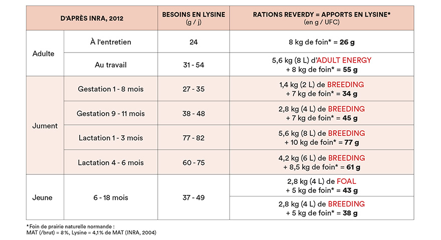 Besoins et apports en Lysine