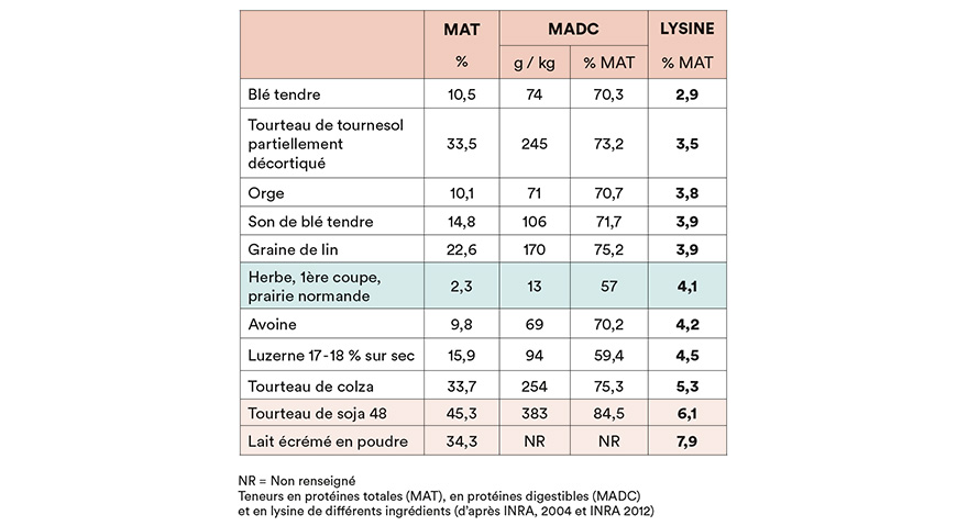 Quelles sources protéiques choisir ?