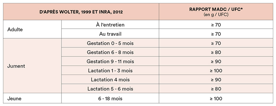 Recommandations des besoins en protéines du cheval, par ration (MADC/UFC)