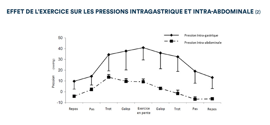 Effet de l'exercice sur les pressions intra-gastrique et intra-abdominale (2)