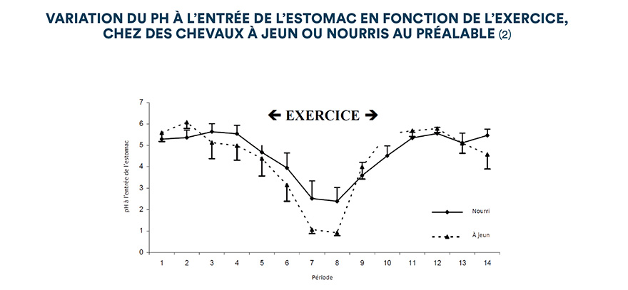 Variation du pH à l'entrée de l'estomac en fonction de l'exercice, chez des chevaux à jeun ou nourris au préalable