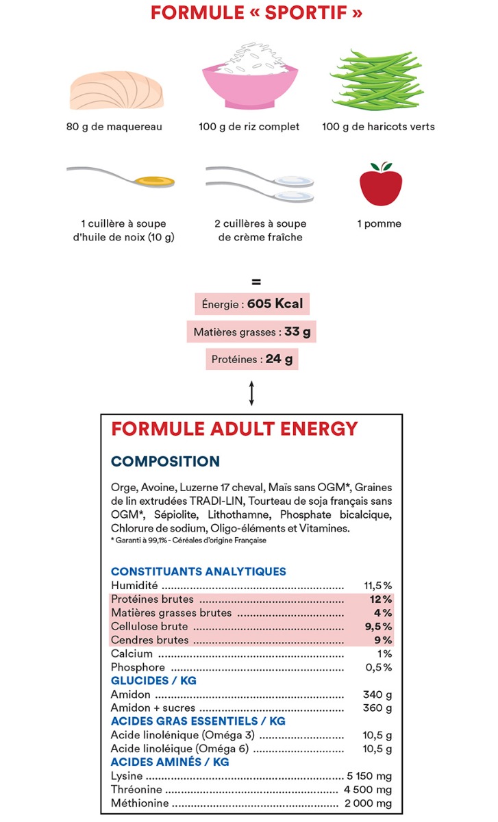 Formule de l'Adult Energy = Formule « Sportif »