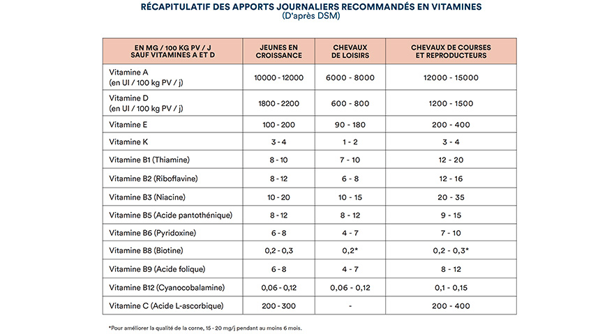 Récapitulatif des apports journaliers recommandés en vitamines