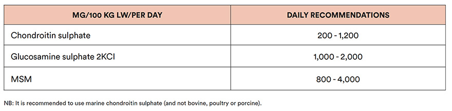 Chondroprotective agents - daily recommendations