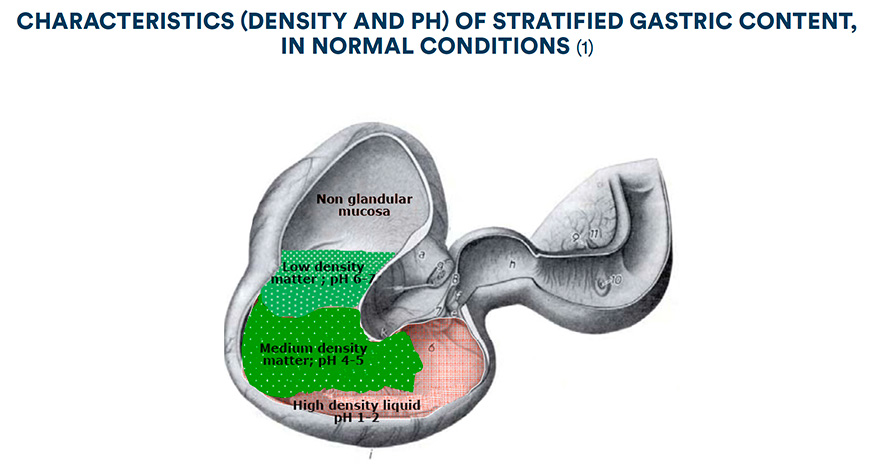 Characteristics (density and pH) of stratified gastric content, in normal conditions