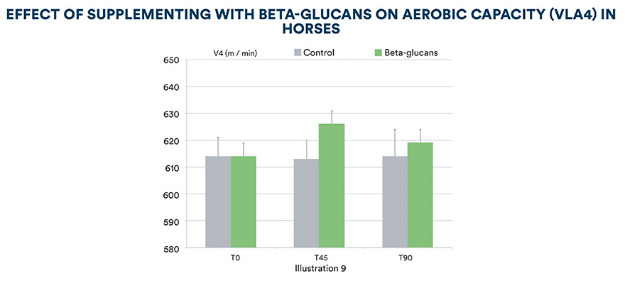 Effect of supplementing with beta-glucans on aerobic capacity (VLA4) in horses