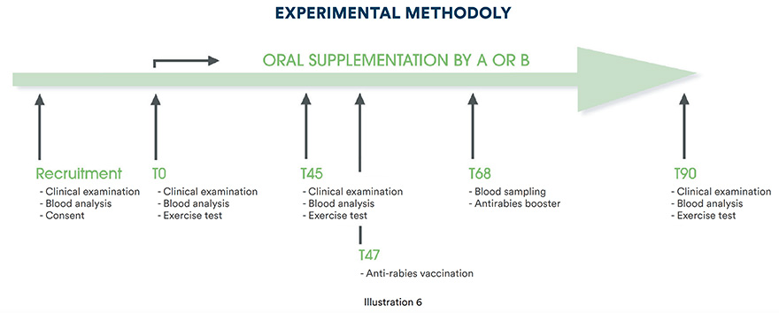 Experimental methodology