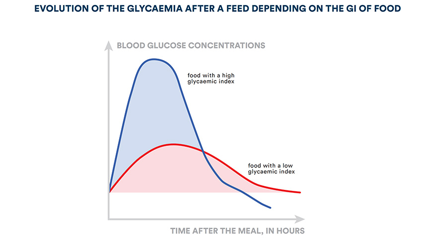 Evolution of the glycaemia after a feed depending on the GI of food