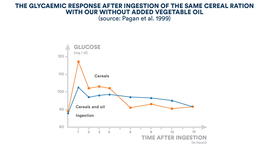 The glycaemic response after ingestion of ther same cereal ration with or withour added vegetable oil