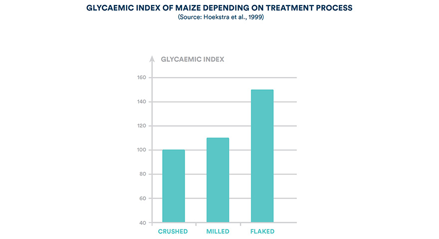 Glycaemic index of maize depending on treatment process