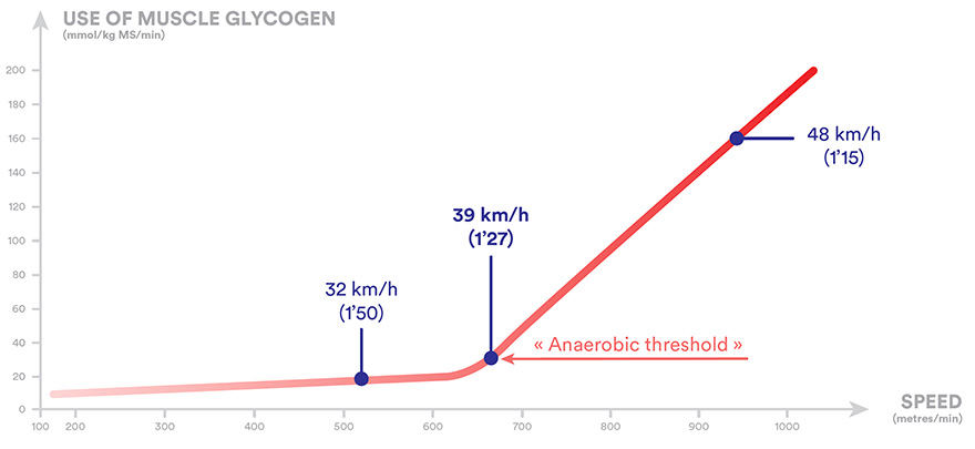 Use of muscle glycogen