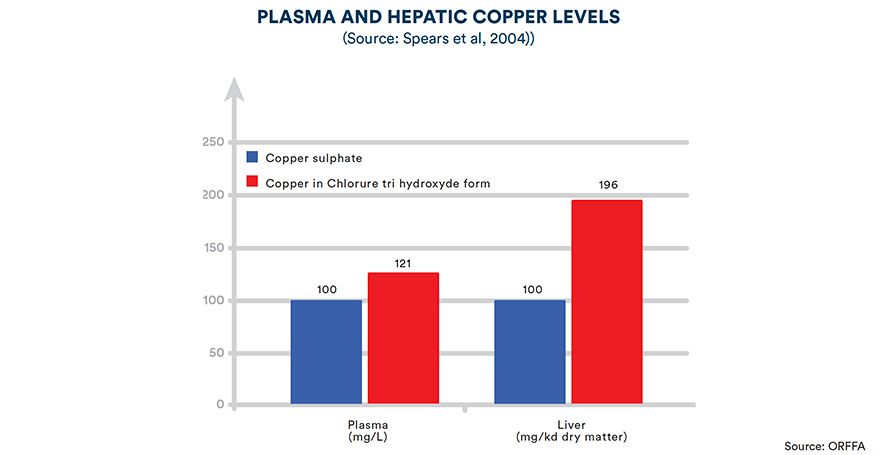 Plasma and hepatic copper levels