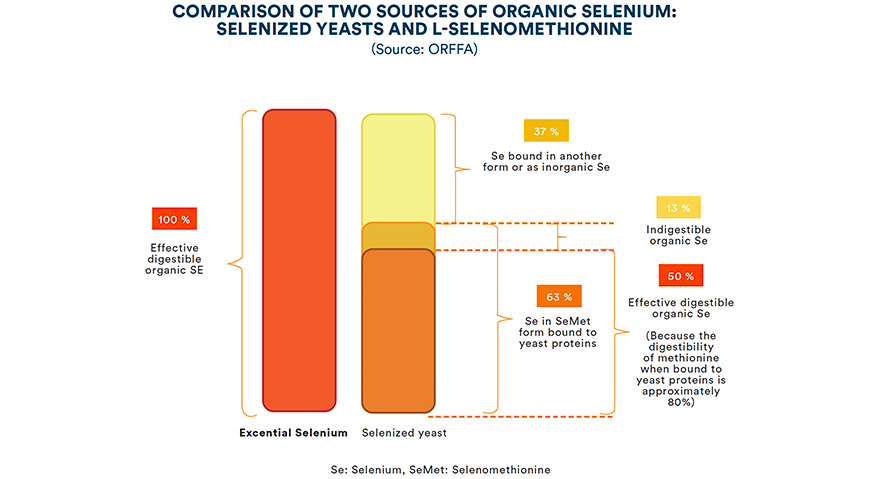 Comparison of two sources of organic selenium: selenized yeasts and L-selenomethionine
